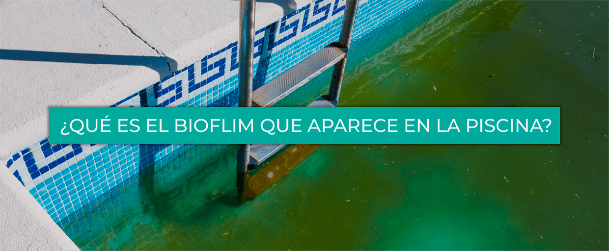 Biofilm bacteriano Biofilm bacteriano
