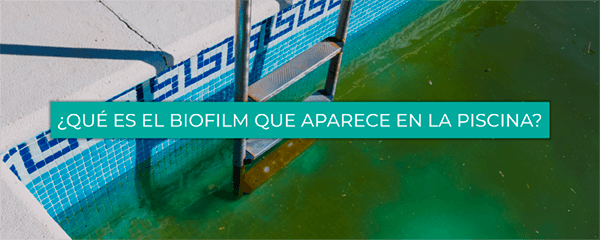 Biofilm: qué es y cómo eliminarlo
